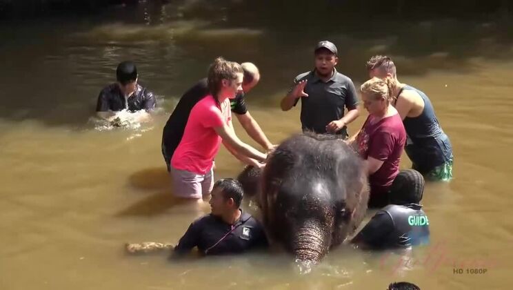 [ATKGirlfriends] - Nothing Could Be Better than Elena Koshka's Company