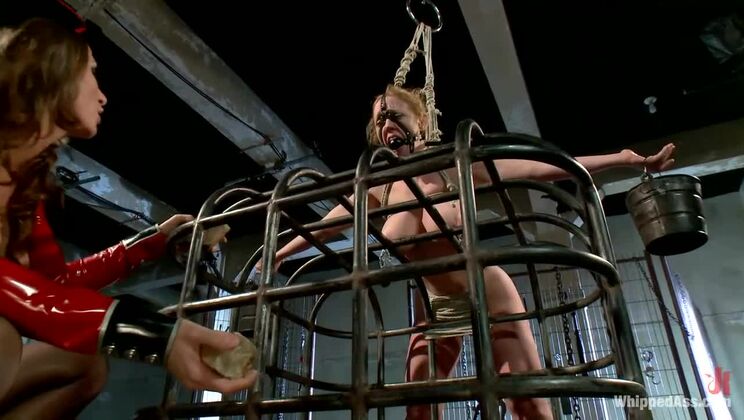 [WhippedAss] - Anal BDSM Lesbians: Ariel Carmine and Dee Williams in Strap-on - Dee Williams - Ariel Carmine