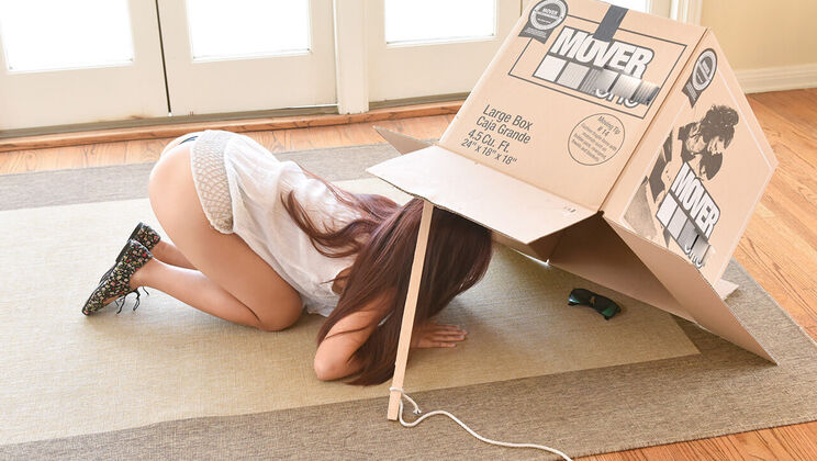 [ExxxtraSmall] - Small Thief Gets Trapped - Elle Voneva